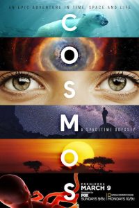 Cosmos: A Spacetime Odyssey (2014) Season 1 Hindi Complete WEB Series 480p 720p