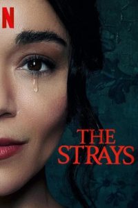 The Strays – Netflix Original (2023) WEB-DL Dual Audio {Hindi-English} Movie 480p 720p 1080p