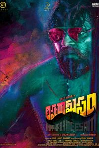 Thippara Meesam (2019) Dual Audio [Hindi + Telugu] WeB-DL Movie 480p 720p 1080p