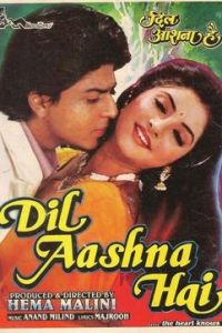 Dil Aashna Hai (1992) Hindi Full Movie 480p 720p 1080p