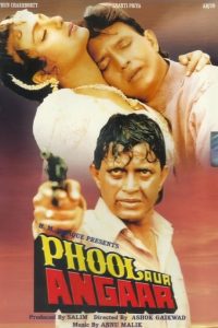 Phool Aur Angaar (1993) AMZN WEB-DL Hindi Full Movie 480p 720p 1080p