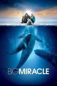 Big Miracle (2012) Dual Audio (Hindi-English) Bluray Full Movie 480p 720p 1080p