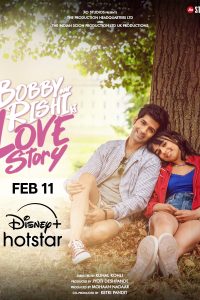 Bobby Aur Rishi Ki Love Story (2025) Hindi WEB-DL Full Movie  480p 720p 1080p